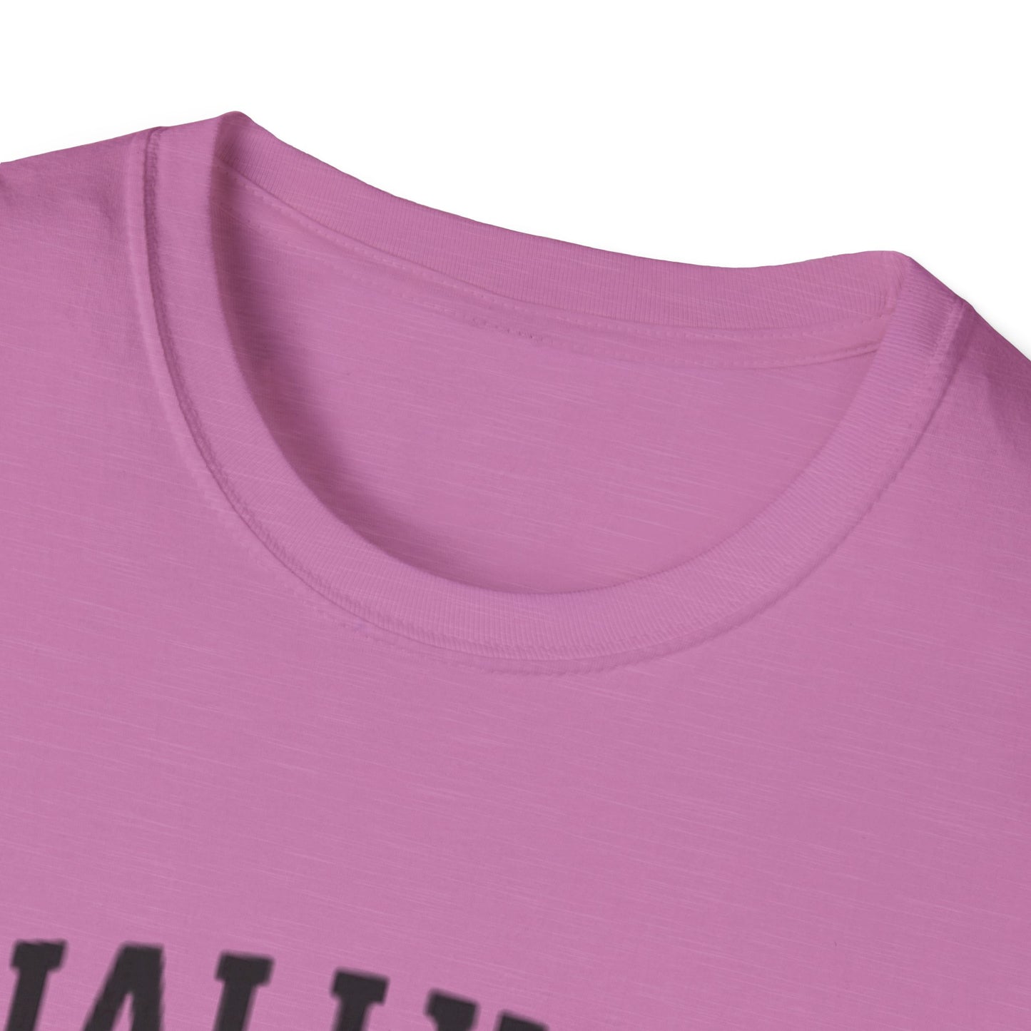 Graduation T-Shirt: Finally Out Class of 2025 Unisex Softstyle Tee