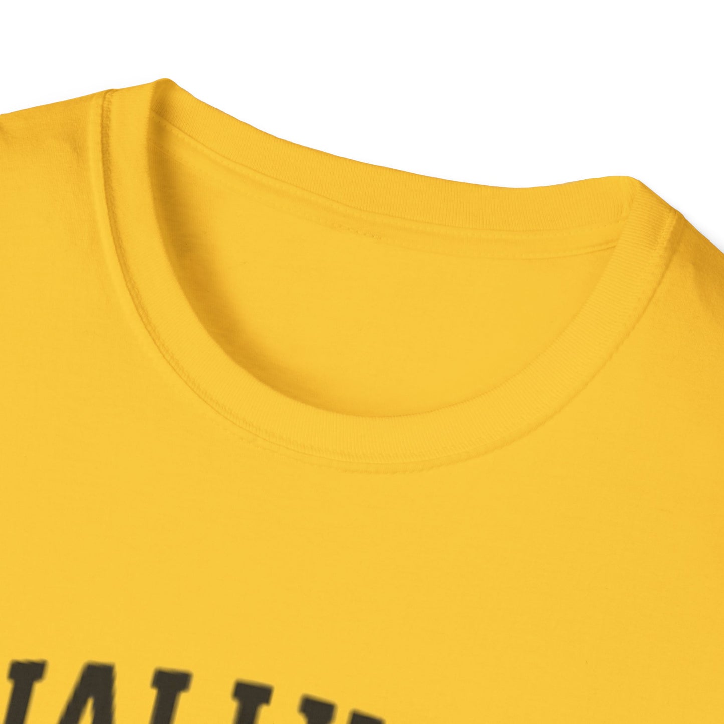 Graduation T-Shirt: Finally Out Class of 2025 Unisex Softstyle Tee