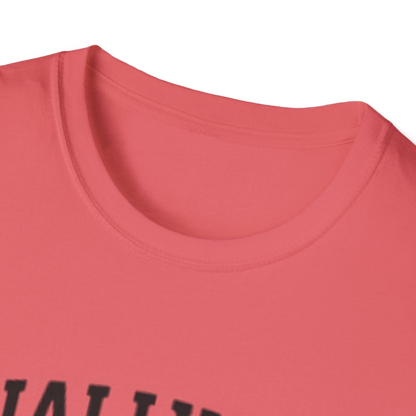 Graduation T-Shirt: Finally Out Class of 2025 Unisex Softstyle Tee
