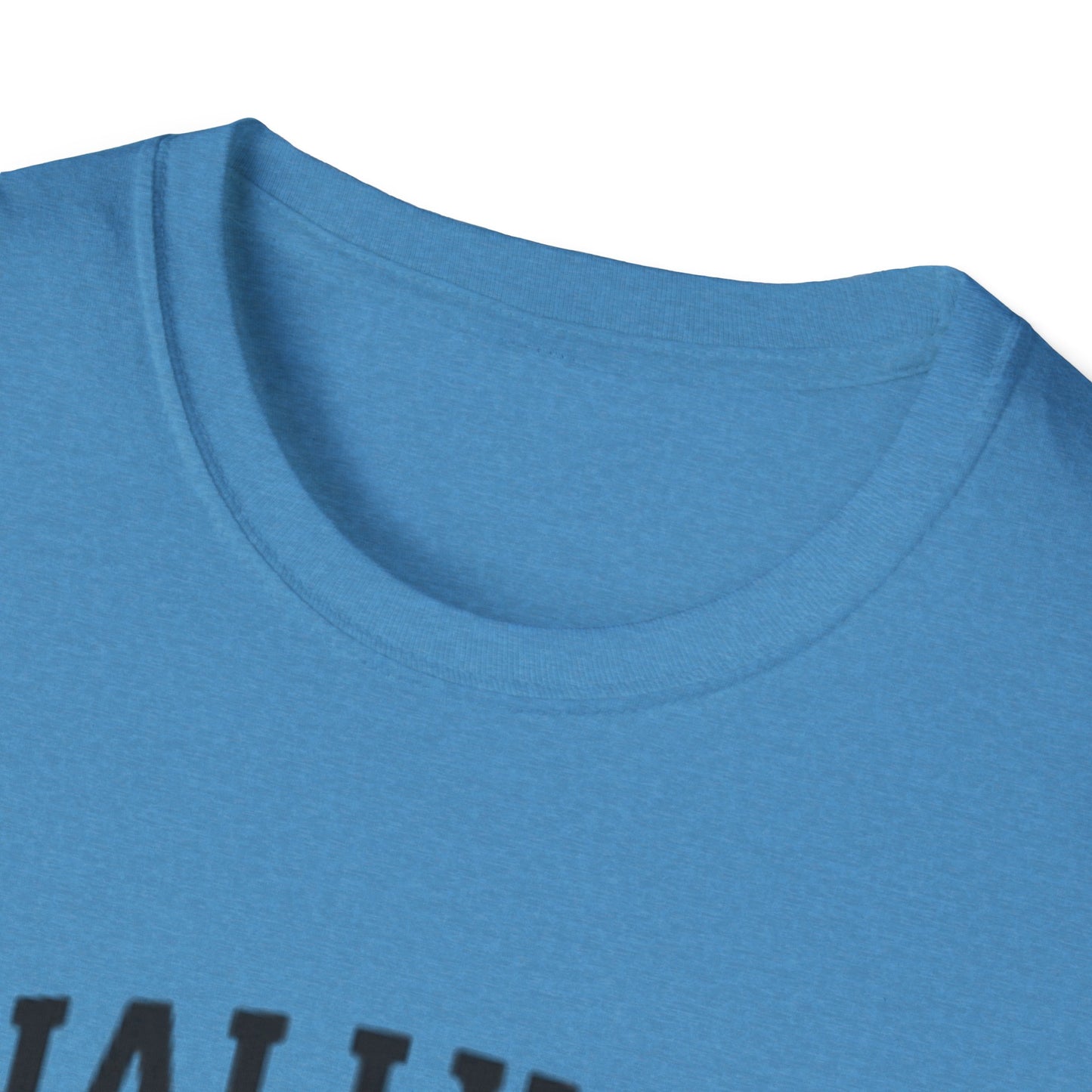 Graduation T-Shirt: Finally Out Class of 2025 Unisex Softstyle Tee