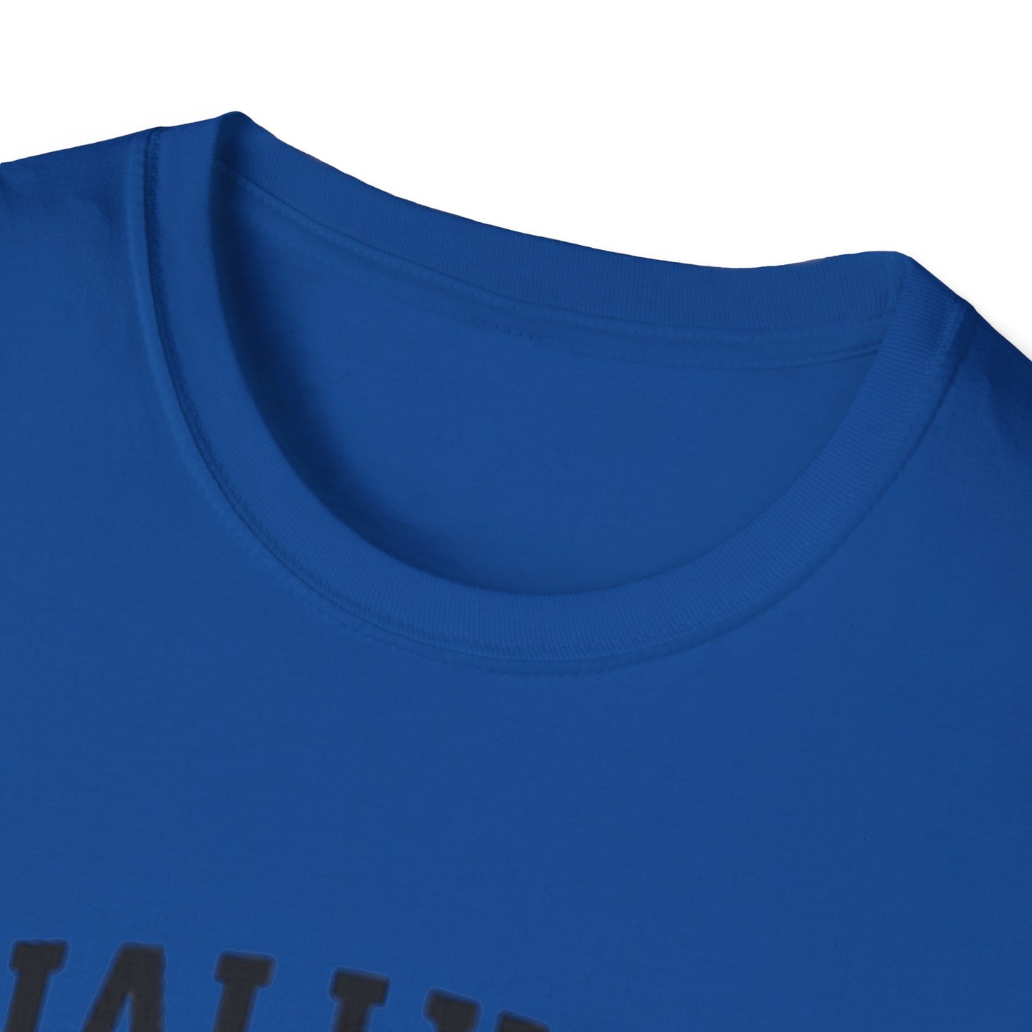 Graduation T-Shirt: Finally Out Class of 2025 Unisex Softstyle Tee