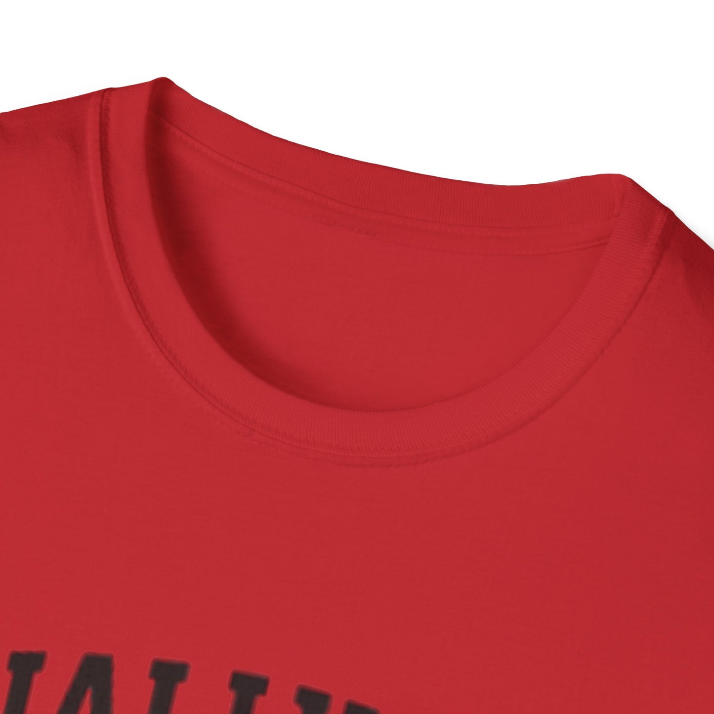 Graduation T-Shirt: Finally Out Class of 2025 Unisex Softstyle Tee
