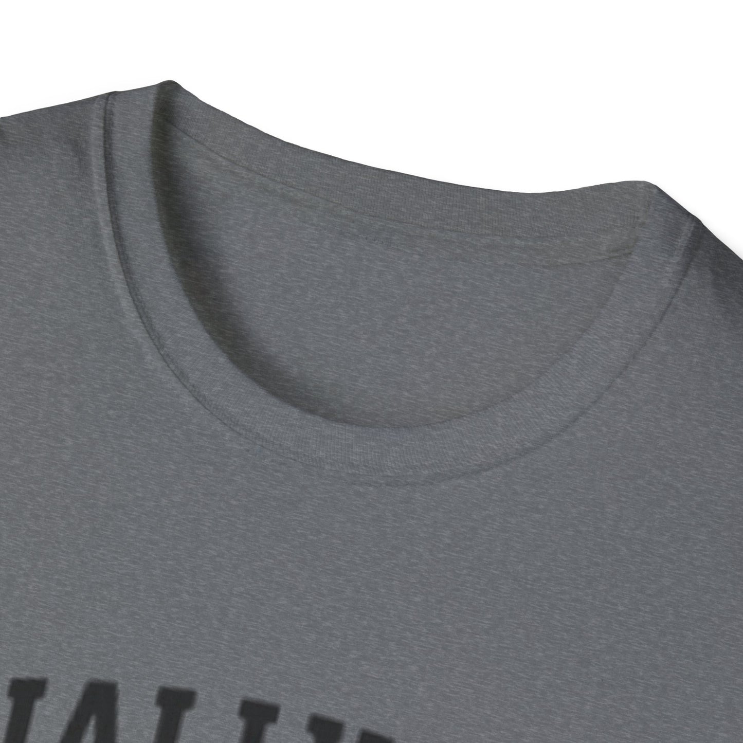 Graduation T-Shirt: Finally Out Class of 2025 Unisex Softstyle Tee