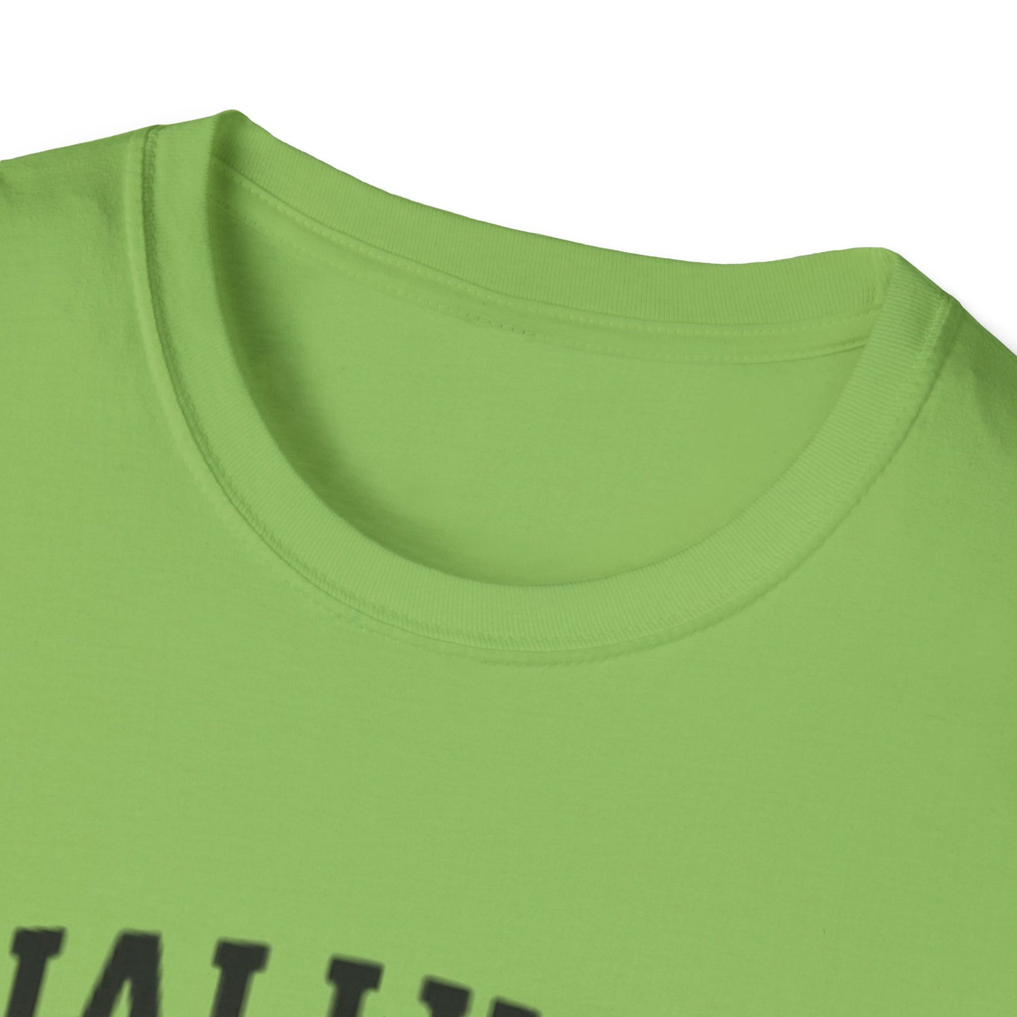 Graduation T-Shirt: Finally Out Class of 2025 Unisex Softstyle Tee
